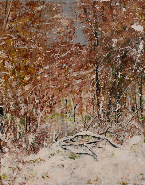 From the deck into the woods it looked like this today