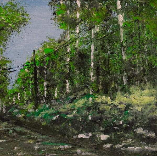 Colors are turning down my street named Maple