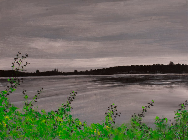 Calm on Wade's Bayou