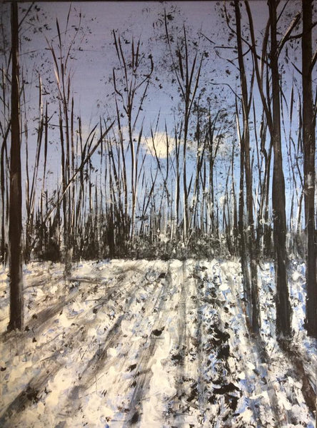 A day of sun following a night's snow