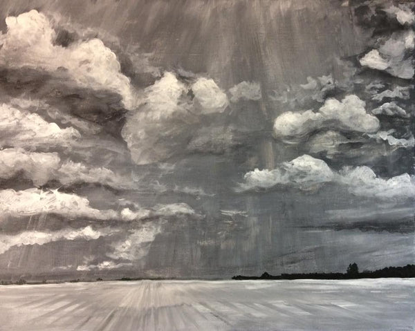 A field is dusted in shrouds of white