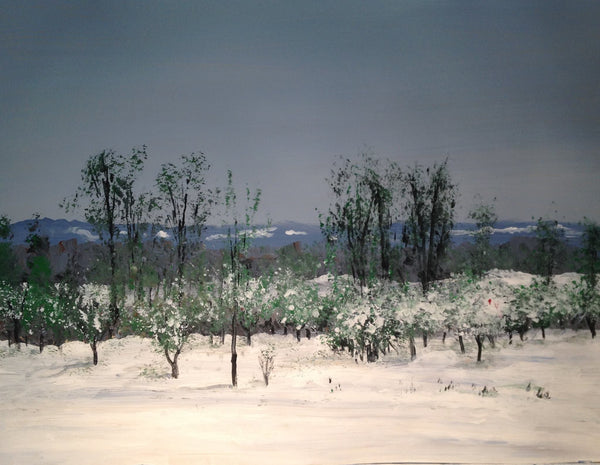 An old orchard in the snow-bold January