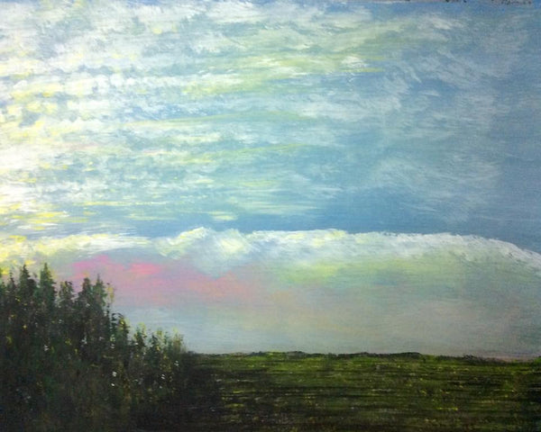 Sunset on the Michigan salad bowl