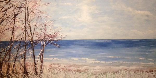 Tis' a first snow at Lake Michigan shore