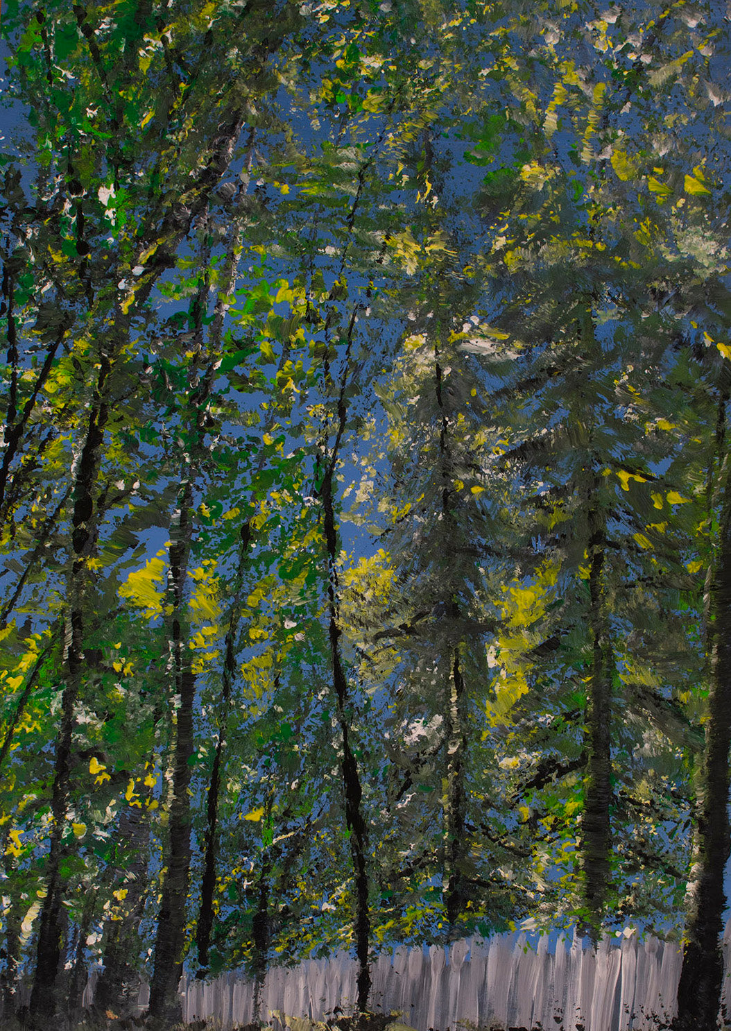 Trees next to the studio