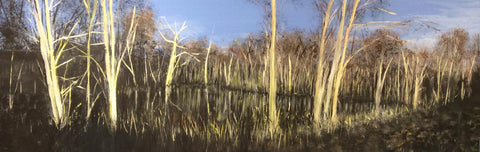 April waits at the leafless pond