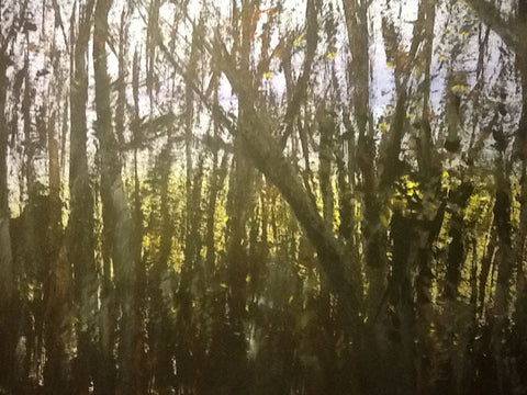 Last sunset through the trees before hidden by the leaves