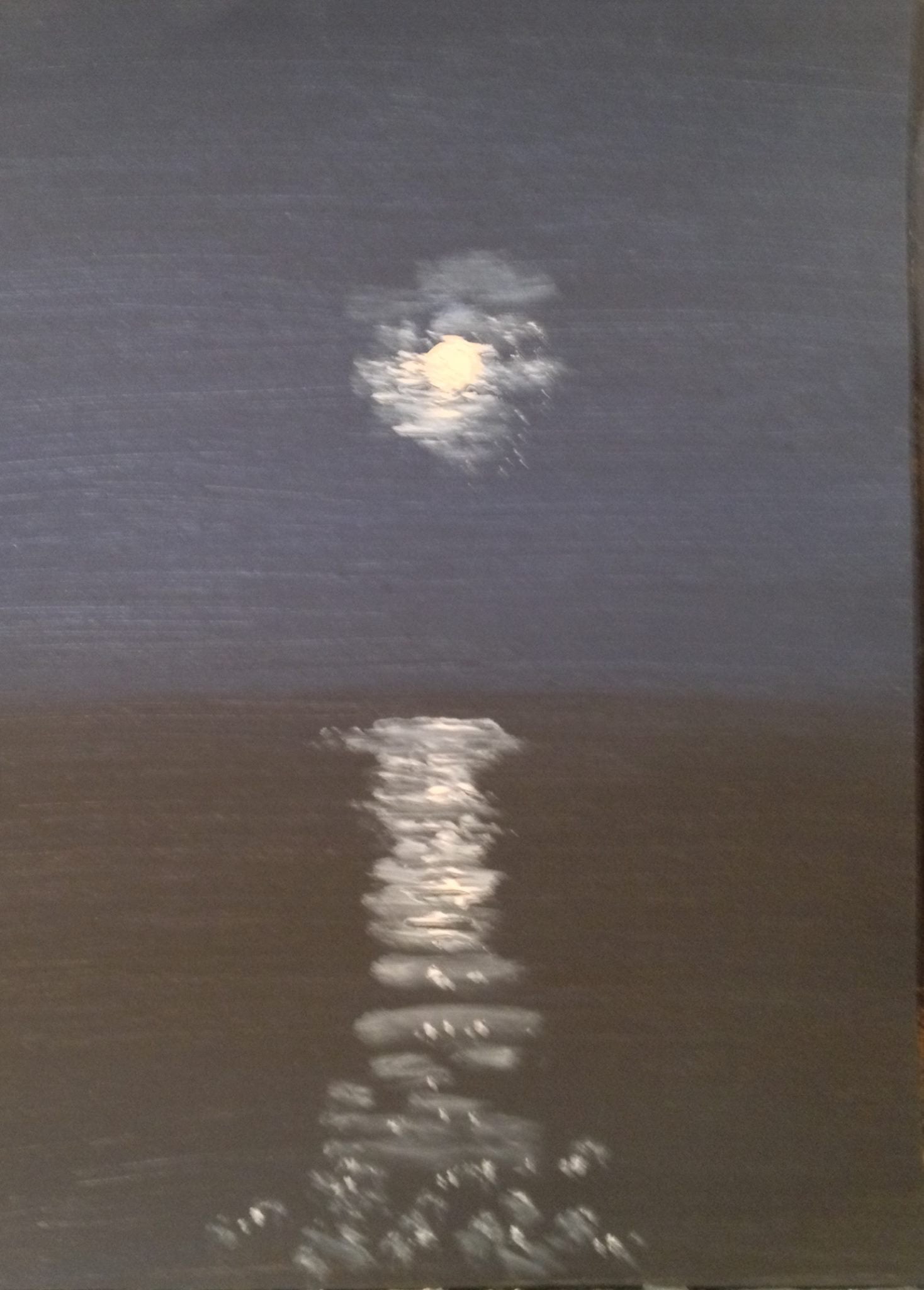 Moon over Lake Huron for Nancy Sweeney