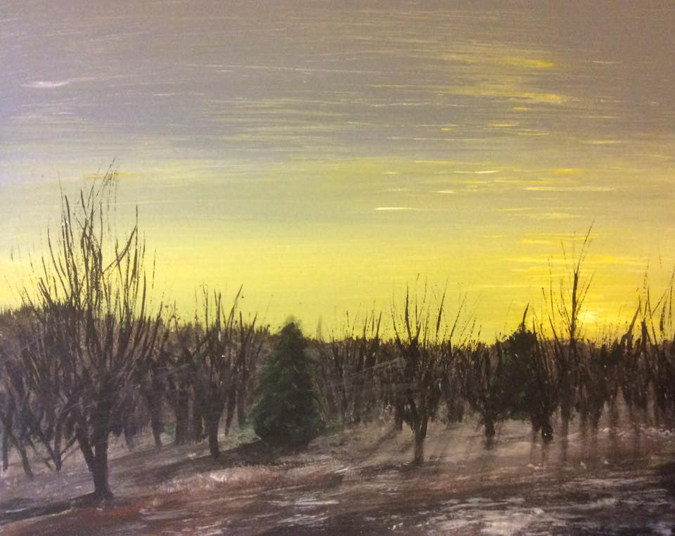 Old, retired orchard goes to sleep