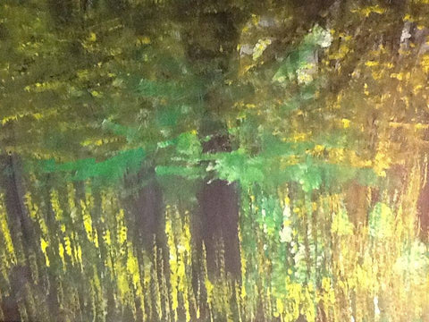 Sunset in the woods at the lake