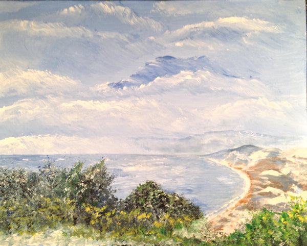 The Great Dunes of Lake Michigan