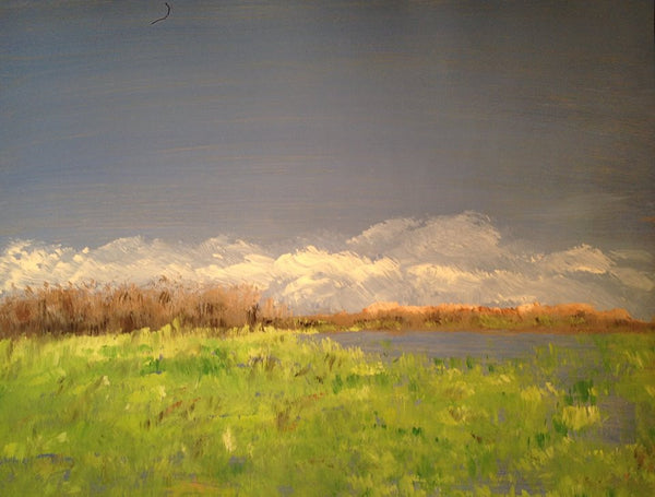 Today across the marsh