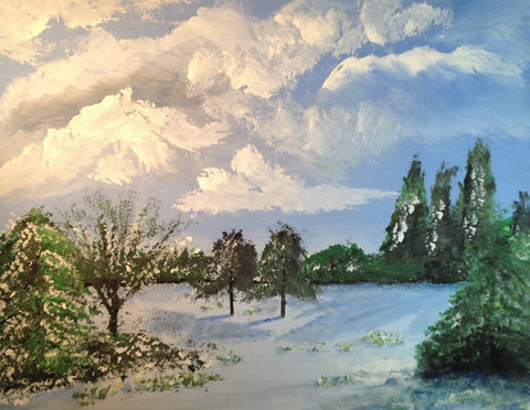 Today is sunshine over the snowy meadow