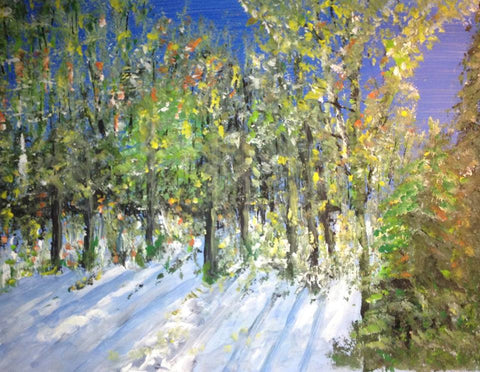 Today the sun lit up the trees