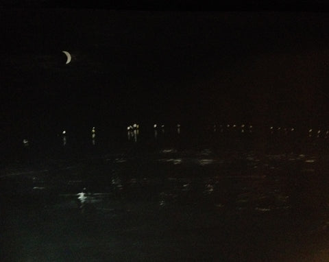 Tonight the waxing crescent moon from Lake Street